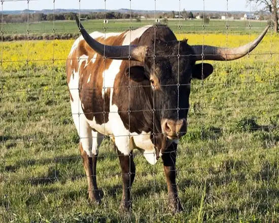 Wildlife barrier fence designed to keep deer out.